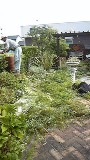 0925-4.jpg