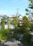 0925-5.jpg