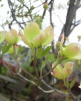 2010042311220000.jpg