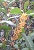 2010100807540000.jpg