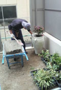 2010110211280001.jpg