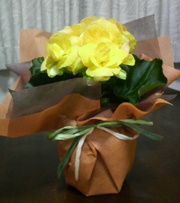 2011032209260000.jpg