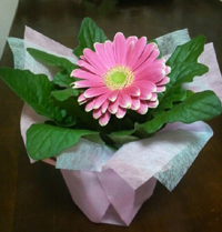 2011032209270000.jpg