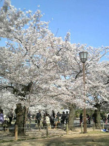 2011041609330000.jpg