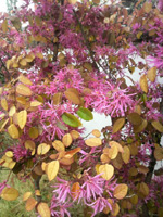 2011042814090000.jpg