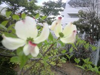2011042814100000.jpg