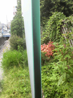 2011070909590000.jpg