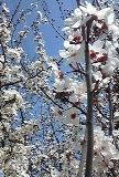 0321-2.jpg