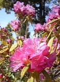 0321-3.jpg