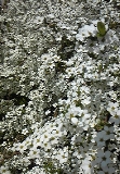 0321-4.jpg