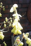 0321-7.jpg