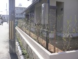 0323-2.jpg