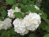 0503-8.jpg