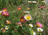 0531-10.jpg