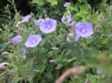 0531-6.jpg