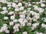 0531-7.jpg