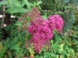 0531-9.jpg