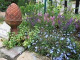 0628-14.jpg