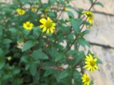 0628-8.jpg