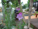 0628-9.jpg