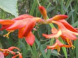 0712-7.jpg