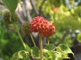 0913-1.jpg