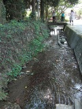 0913-10.jpg
