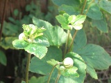 0913-2.jpg