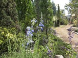 0927-6.jpg