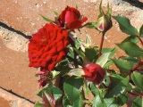 0927-8.jpg