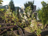 0927-9.jpg