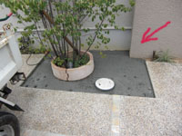 CIMG0169.JPG