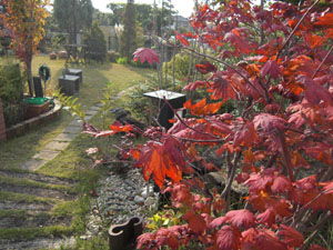 CIMG0258.JPG