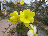 Х