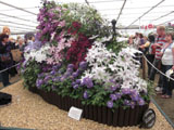 Chelsea Flower Show