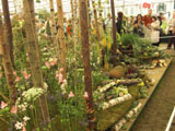 Chelsea Flower Show