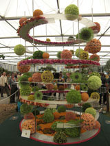 Chelsea Flower Show