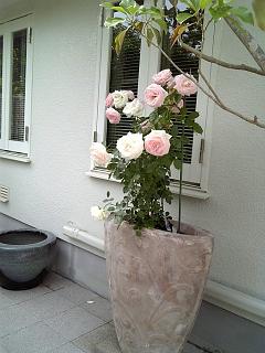 DVC00085.JPG