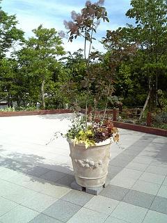 DVC00087.JPG