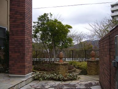 P1060150.JPG