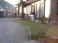 P1130836.jpg