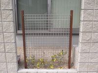 P1150430.jpg