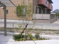 P1150434.jpg