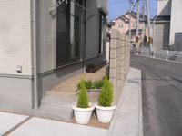 P1150576.jpg