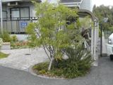 nishio06014-3.JPG