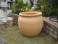 pot1.jpg