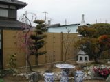 watabe0301-2.JPG