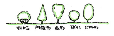 自然樹形