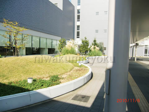 e71_2.jpg