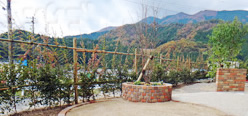里山に建つ住宅エクステリア